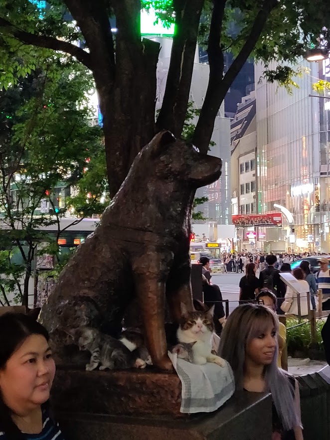 Hello from Tokyo
