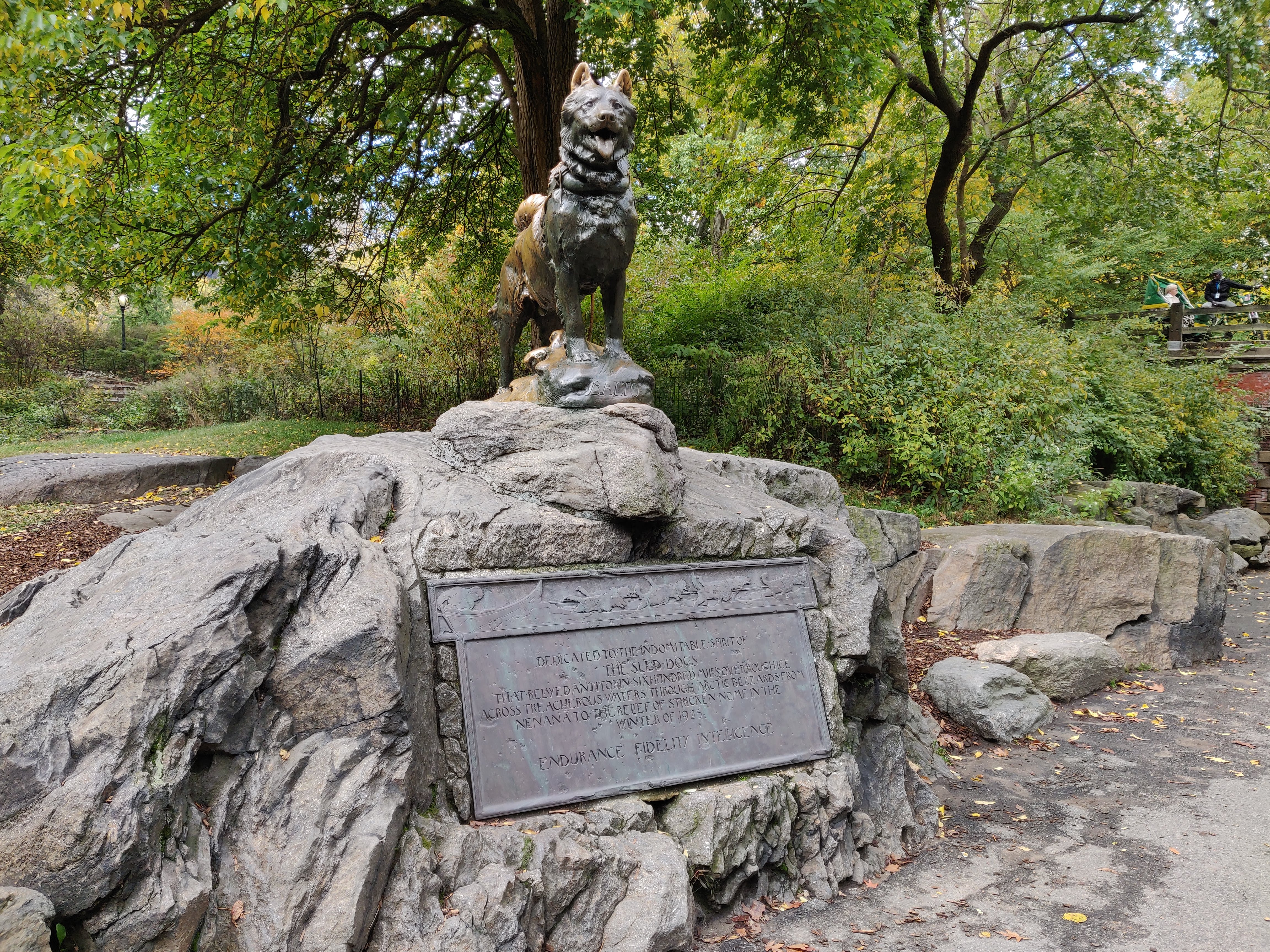 Central Park en 5th Avenue